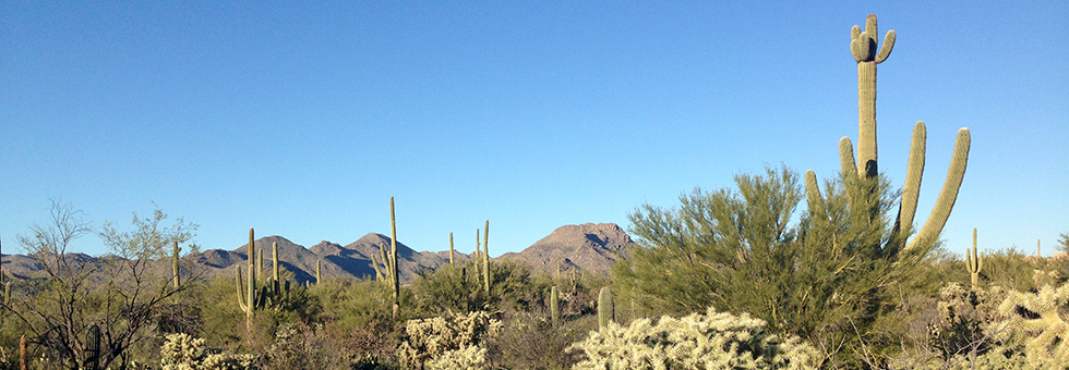 Boat Storage Rates in Tucson/Marana/Dove Mountain - Photo by Civano Web Design