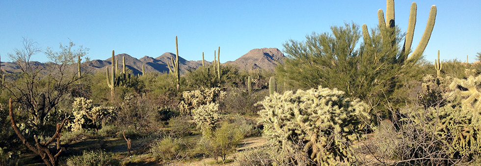 Tortolita RV Storage, Marana and Tucson